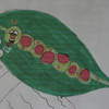library caterpillar drawing