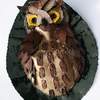 library leaf owl