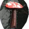library leaf mushroom
