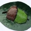 library leaf acorn